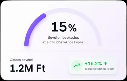 Projekt siker és összes bevétel